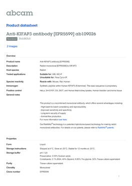 Anti-KIFAP3 Antibody [EPR5599] Ab109026 Recombinant