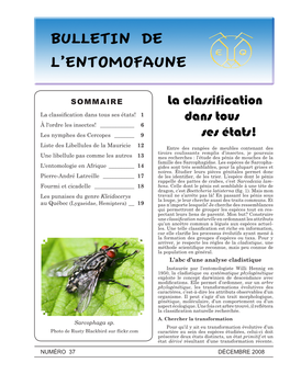 La Classification Dans Tous Ses États! 1 Dans Tous À L'ordre Les Insectes! ______6 Les Nymphes Des Cercopes ______9 Ses États!