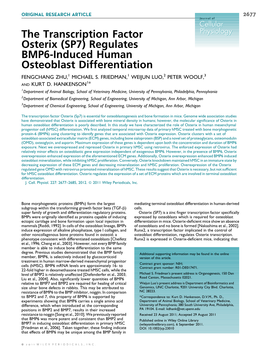 The Transcription Factor Osterix (SP7) Regulates Bmp6induced Human Osteoblast Differentiation