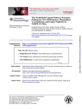 The Ox40/Ox40 Ligand Pathway Promotes Pathogenic Th Cell