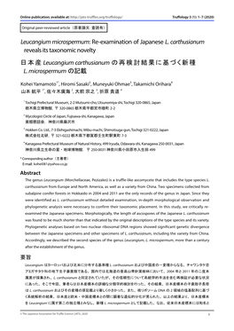 Leucangium Microspermum: Re-Examination of Japanese L