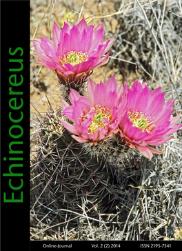 Echinocereus Fendleri (G