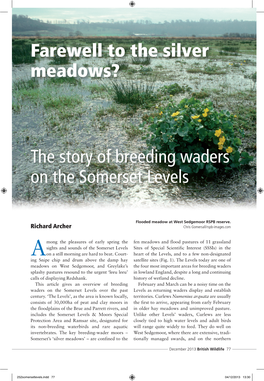 The Story of Breeding Waders on the Somerset Levels