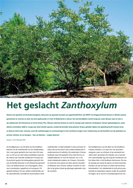 Het Geslacht Zanthoxylum