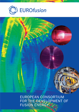 European Consortium for the Development of Fusion Energy European Consortium for the Development of Fusion Energy CONTENTS CONTENTS