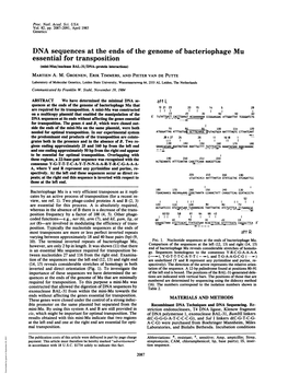DNA Sequences at the Ends of the Genome of Bacteriophage Mu Essential for Transposition (Mini-Mus/Nudease BAL-31/DNA-Protein Interactions) MARTIEN A