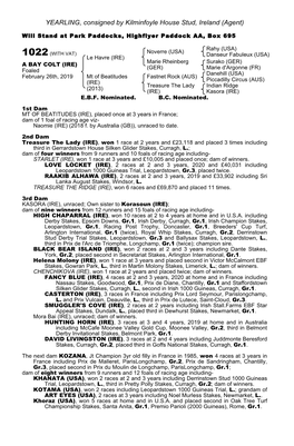 YEARLING, Consigned by Kilminfoyle House Stud, Ireland (Agent)