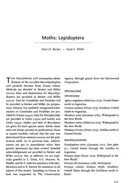Moths: Lepidoptera