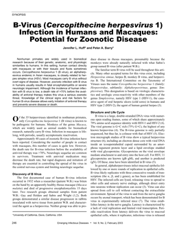 B-Virus (Cercopithecine Herpesvirus 1) Infection in Humans and Macaques: Potential for Zoonotic Disease Jennifer L