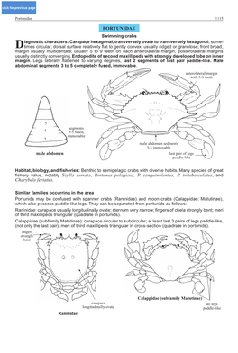 Portunidae 1115