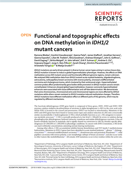 Functional and Topographic Effects on DNA Methylation in IDH1/2 Mutant