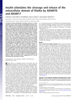 Insulin Stimulates the Cleavage and Release of the Extracellular Domain of Klotho by ADAM10 and ADAM17