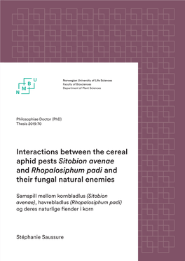 Interactions Between the Cereal Aphid Pests Sitobion Avenae and Rhopalosiphum Padi and Their Fungal Natural Enemies