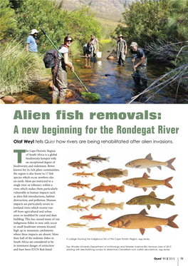 Alien Fish Removals: a New Beginning for the Rondegat River