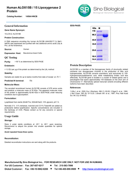 Human ALOX15B / 15 Lipoxygenase 2 Protein