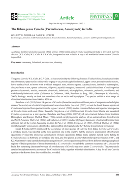 The Lichen Genus Cetrelia (Parmeliaceae, Ascomycota) in India