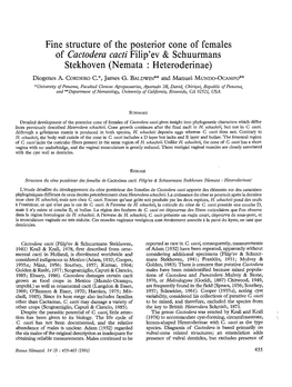 Fine Structure of the Posterior Cone of Females of Cactodera Cactis Filip'ev and Schuurmans Stekhoven