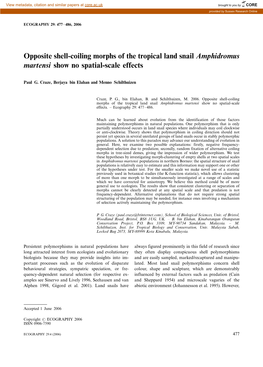 Opposite Shell-Coiling Morphs of the Tropical Land Snail Amphidromus Martensi Show No Spatial-Scale Effects