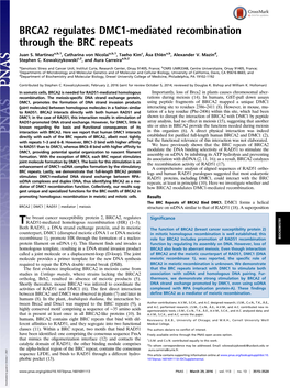 BRCA2 Regulates DMC1-Mediated Recombination Through the BRC Repeats