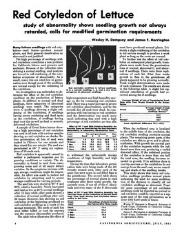 Red Cotyledon of Lettuce Study of Abnormality Shows Seedling Growth Not Always Retarded, Calls for Modified Germination Requirements