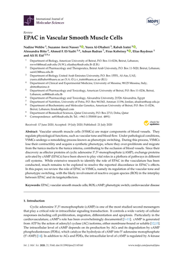 EPAC in Vascular Smooth Muscle Cells