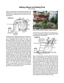 Adding a Bog to an Existing Pond by Jan Schreier