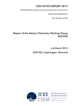 Mcwg Report 2013