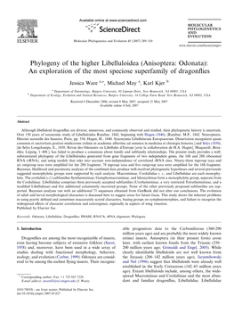 Phylogeny of the Higher Libelluloidea (Anisoptera: Odonata): an Exploration of the Most Speciose Superfamily of Dragonﬂies