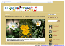 El Blog De La Tabla: Rosales Silvestres Españoles En El Real