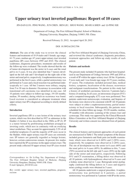 Upper Urinary Tract Inverted Papillomas: Report of 10 Cases