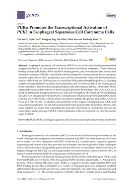 PUR Promotes the Transcriptional Activation of PCK2 in Esophageal