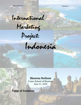 International Marketing Project: Indonesia