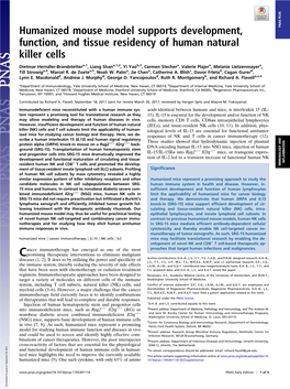 Humanized Mouse Model Supports Development, Function, and Tissue