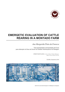 Emergetic Evaluation of Cattle Rearing in a Montado Farm