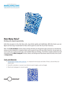 How Many Hela? Dividing Cells Expand Exponentially