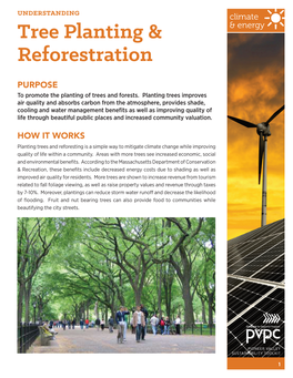 Tree Planting and Reforestation in Climate a Community: & Energy 1