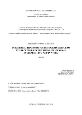 Role of P2y Receptors in the Spinal-Trigeminal System in Vivo and in Vitro