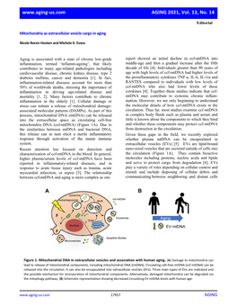 Mitochondria As Extracellular Vesicle Cargo in Aging