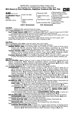 YEARLING, Consigned by Meon Valley Stud the Property of a Partnership of Meon Valley Stud Will Stand at Park Paddocks, Highflyer Paddock DD, Box 724