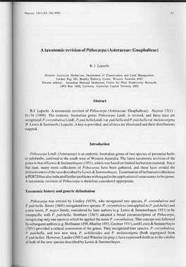 A Taxonomic Revision of Pithocarpa (Asteraceae: Gnaphalieae)