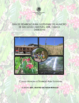 Plan De Desarrollo Rural Sustentable Del Municipio De San Lucas Camotlán, Mixe, Oaxaca 20082008----20102010