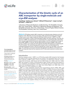 Characterization of the Kinetic Cycle of an ABC Transporter by Single