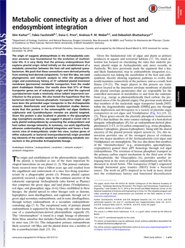 Metabolic Connectivity As a Driver of Host and Endosymbiont Integration