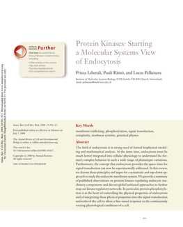 Starting a Molecular Systems View of Endocytosis