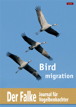 Bird Migration Dear Readers