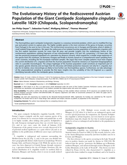 The Evolutionary History of the Rediscovered Austrian Population of the Giant Centipede Scolopendra Cingulata Latreille 1829 (Chilopoda, Scolopendromorpha)
