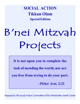 SOCIAL ACTION Tikkun Olam Special Edition