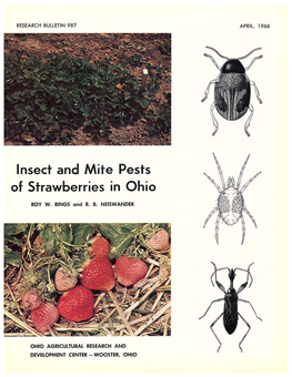 Insect and Mite Pests of Strawberries in Ohio