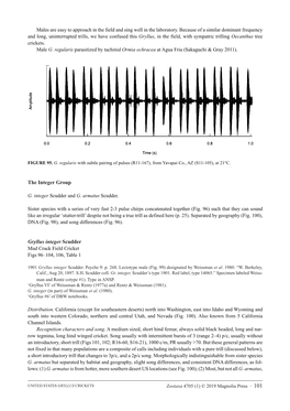 The Integer Group Gryllus Integer Scudder