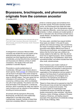 Bryozoans, Brachiopods, and Phoronida Originate from the Common Ancestor 31 January 2018